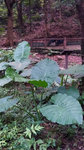 20140726_183835