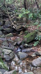20140726_183853