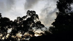 20140726_184249