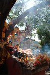 LAM CHUEN WISHING TREE 5