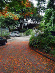P1580652