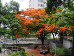 P1580657