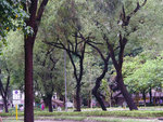 P1580662