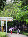 P1580664