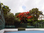 P1580669