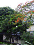 P1580674
