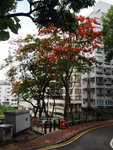 P1580724