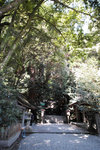 DP0Q3276