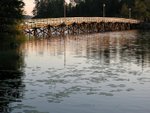 IMG_2134
