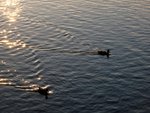 IMG_2141