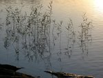 IMG_2142