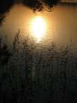 IMG_2144