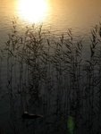 IMG_2146