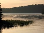 IMG_2156
