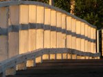 IMG_2159
