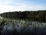 IMG_2197