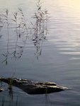 IMG_2220