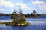 IMG_8572