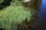 IMG_8573
