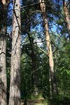 IMG_8585