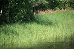 IMG_8591