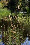 IMG_8621