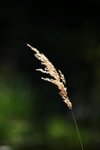 IMG_8624