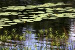 IMG_8635