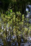 IMG_8645