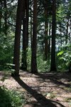 IMG_8653
