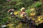 IMG_8656