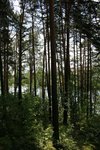 IMG_8662