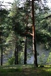 IMG_8667