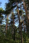IMG_8669