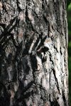 IMG_8676