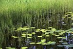 IMG_8702