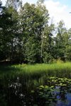 IMG_8704