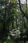 IMG_8712