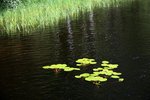 IMG_8736