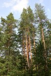 IMG_8753