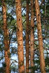 IMG_8754