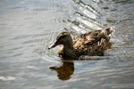 IMG_8763