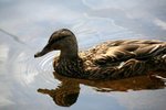 IMG_8767