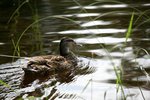 IMG_8771