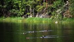 IMG_8775