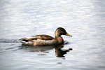IMG_8787