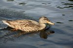 IMG_8804
