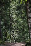 IMG_8829