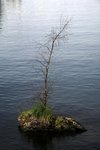 IMG_8853