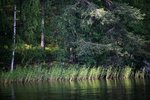 IMG_8855